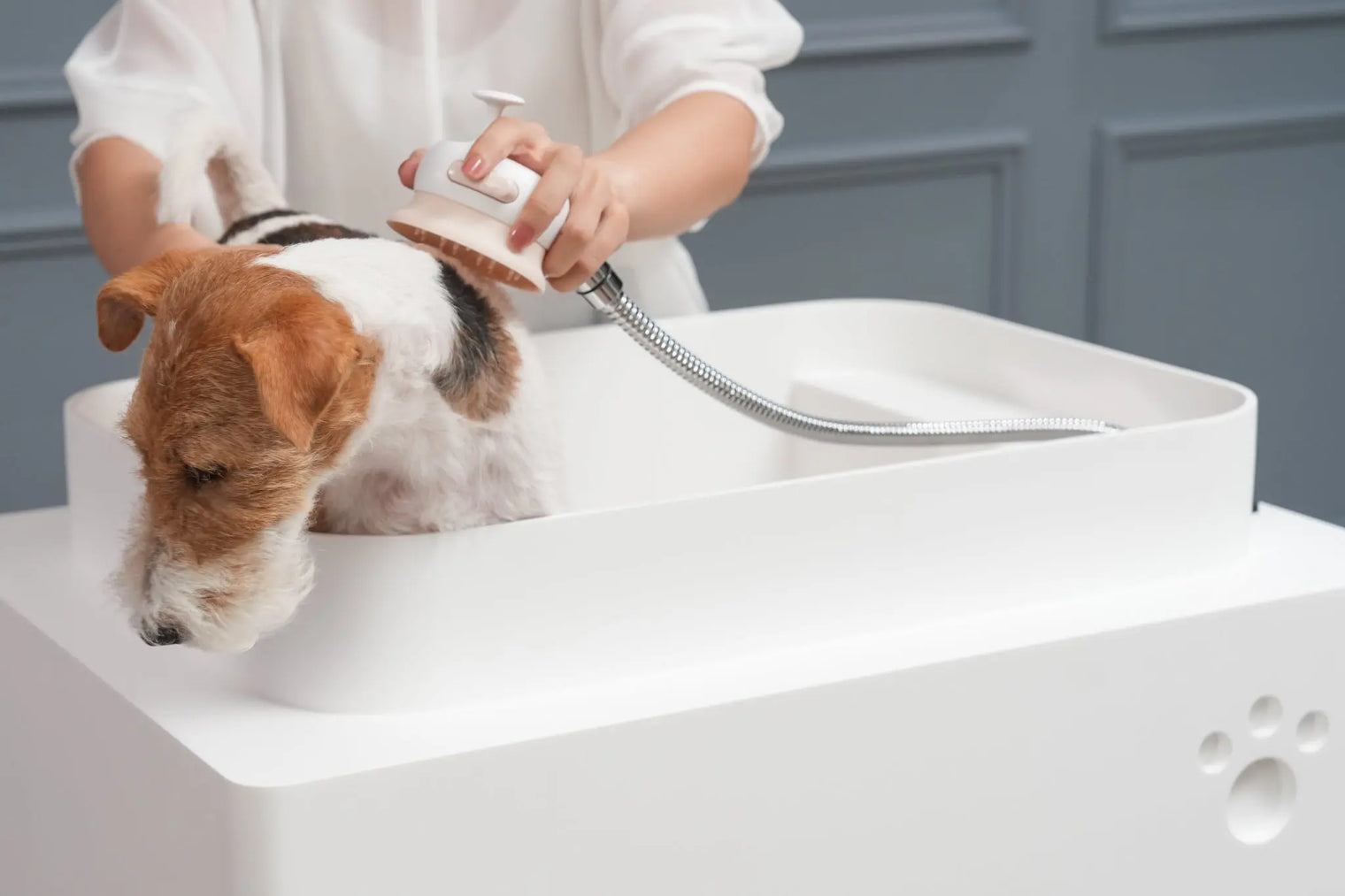Doggie Bath (Small Breed)-BATHTUBS-doggie bath, dog bathtub, puppy bathtub,寵物浴缸,可移動浴缸,pet bathtub, 大型犬浴缸,小型犬浴缸, 犬隻浴缸,狗狗浴缸,Dog Grooming Bath Tub, animal bathtub, cat bathtub, Small pet bathtub hk,寵物沖涼,寵物洗澡