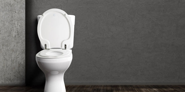 Toilet Seats-INFINITE BATH, 訂造浴室潔具,Hong Kong custom bathtub,Hong Kong bathroom design company, Luxury bathtub brands Hong Kong,浴室配件,浴缸香港,Bespoke bathroom,浴室設計 公司