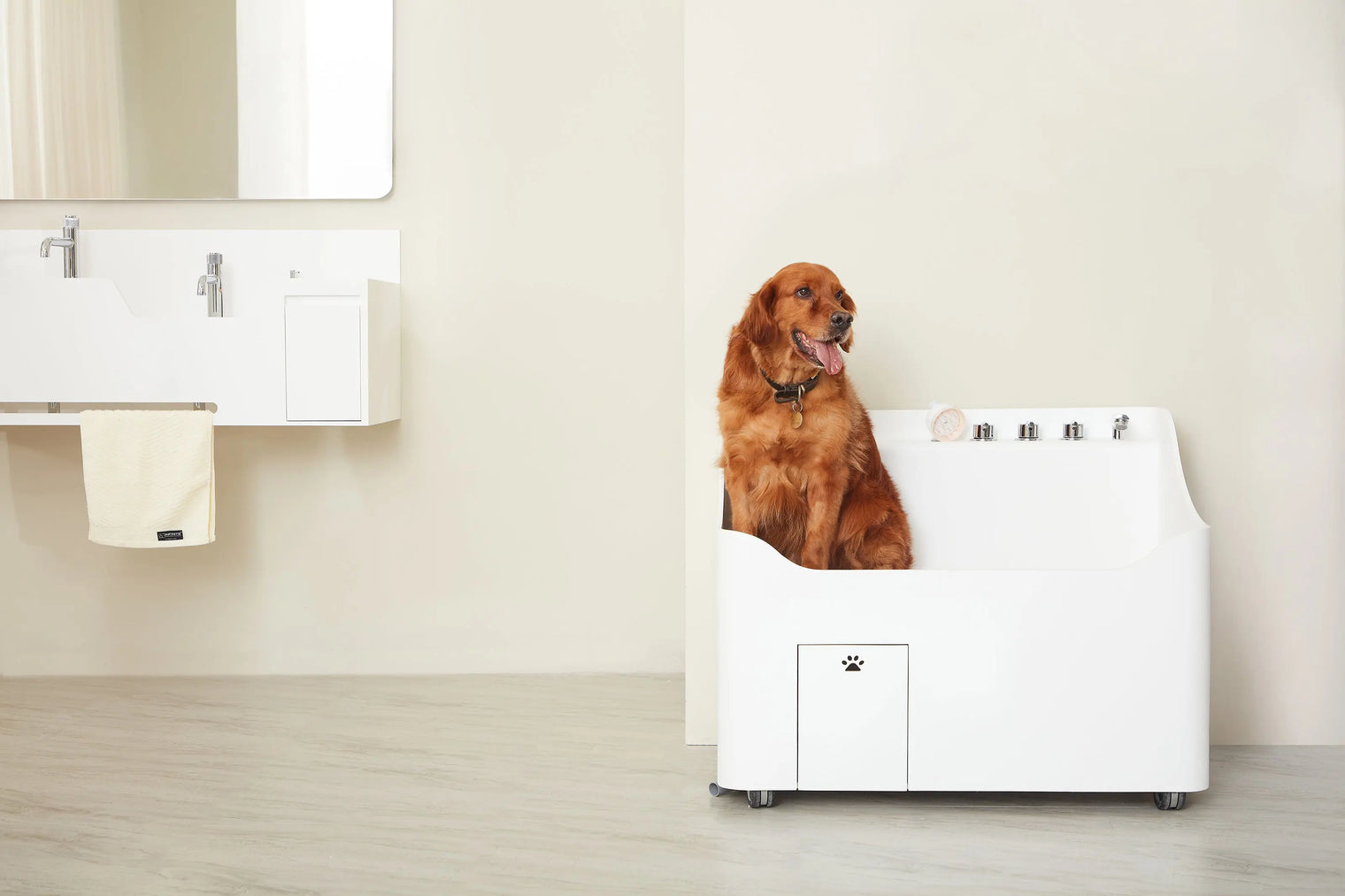 Doggie Bath (Large Breed)-BATHTUBS-doggie bath, dog bathtub, puppy bathtub,寵物浴缸,可移動浴缸,pet bathtub, 大型犬浴缸，小型犬浴缸, 犬隻浴缸，狗狗浴缸,Dog Grooming Bath Tub, animal bathtub, cat bathtub, Small pet bathtub hk,寵物沖涼,寵物洗澡