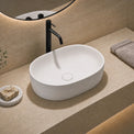 Bathroom sink with black faucet, towel, and plant on beige countertop