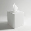 130 Toilet Roll Box-8050 Solid Surfaces Home-INFINITE-訂造洗手盆,浴室翻新, small size bathtubs, custom-made bathtub HK,freestanding bathtub Hong Kong, 獨立式 浴缸 香港, premium bathtub brands HK, Where to buy bathtubs in Hong Kong, best custom bathroom furniture HK, Infinite Bath, Infinite浴缸, Cloakroom,Vanities, Mirrors,Bathroom Furniture, 浴室裝修,浴室 櫃 訂造